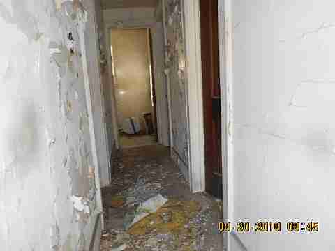 18103 Cardoni (15)_m.jpg